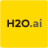 H2O.ai: open-source AutoML with an enterprise top end logo