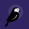 Wagtail, BSD on Django logo