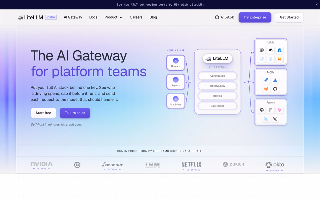 LiteLLM homepage screenshot