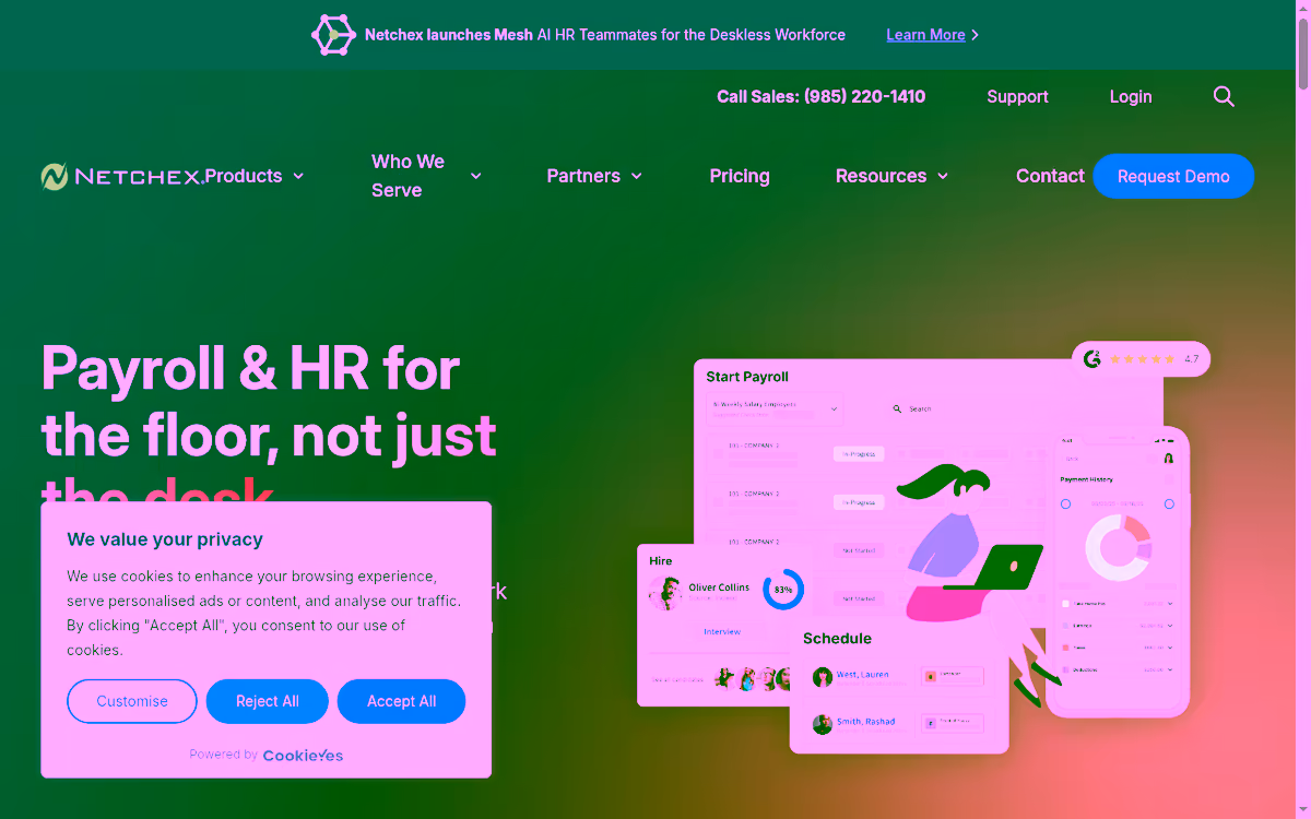 Netchex homepage screenshot