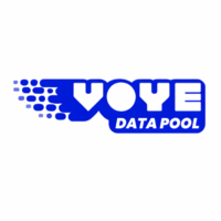 Voye Global logo